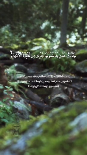 ‏#quran #omarabdullah #surahnahl