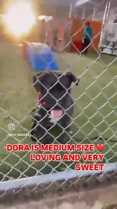 21K views · 1.4K reactions | IT’S JUST NOT FAIR  PLEASE HELP...