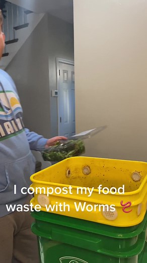 Worm Composting: Feeding Veggie Scraps & Shredded Paper