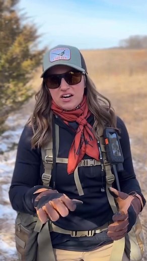 4.8K views · 39 reactions | Cena kompleta Alpha 300i + TT25 ogrlica: 148.500,00 dinara. Javite svima.  | Garmin Srbija | Facebook