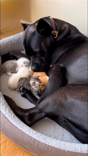 Gifs/ motion art/ 30 second music clips on Reels