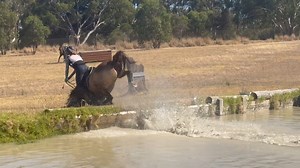 164K views · 1K reactions | With a request from one of our fans tiktok: Kee_and_mo Make sure to follow us @horsesvideosfails for more fails No hate tolerated!! #horselovers #horsefails #horsefail #horseridingfail #horseridingfails #horses #horseofinstagram #jumping #horsejumping | HorseLovers Fails | Facebook