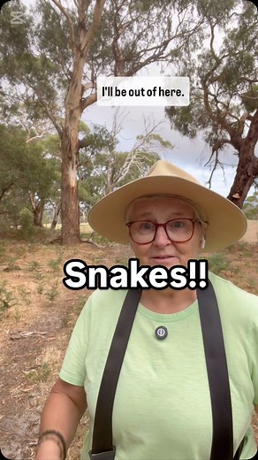 10K views · 81 reactions | When l go walking with my camera I was so fixated on the ground , because I’ve seen a few snakes this spring/summer , I was worried about seeing one or stepping on one So I bought a couple snake gators to put around my ankles - and that got me looking up again, looking for light, looking for the hero and not looking at the ground #snakes #camera #photo | Learn how to Photograph | Facebook