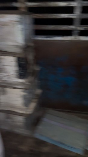 26K views · 479 reactions | Honey bees shifting | Shifa Organic Foods | Facebook