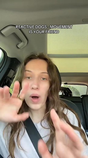 Movement is the BEST thing you can do with a reactive dog!!! Don’t stop in the middle of the way, put leash pressure on your dog, and then let them build “drive” to go and lunge, bark and growl at the end of the leash. Have ~ | Maze the Doberman | Facebook