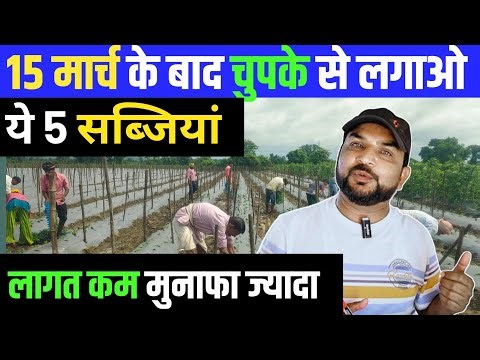 15 मार्च के बाद चुपके से लगाओ ये 5 सब्जिय ||Tamatar Ki Kheti