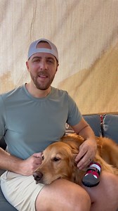 1.1M views · 53K reactions | Teddy’s Tennies have been a HUGE hit — and we’re already running low on some sizes and colors! If you’ve been thinking about grabbing a pair, now’s the time before we sell out. Shop now at  www.aguyandagolden.com. Thank you so much for the incredible support. Because of you, we’re not only able to chase big dreams, we’re also able to give back even more to the dog community we care so much about. | Aguyandagolden | Facebook