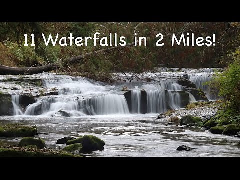 Sweet Creek Falls Hike. 11 Waterfalls in 2 Miles, Mapleton, Oregon