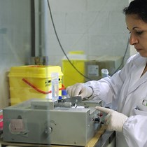 Analyzing Axonal Growth in 3D Matrices - JoVE Journal