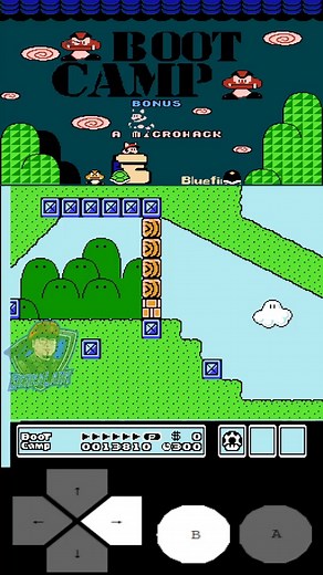 Niveles kaizo de super mario bros 3 #mario #mariobros #supermario #supermariobros | Berna Lark