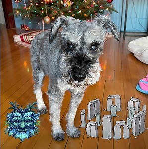 233K views · 14K reactions | Well, well, well. Tomorrow, December 21st, is pretty special! It's Winter Solstice and Yule. Plus, there is a special planet event in the night sky! ❄️☀️敖 | Pluto Living | Facebook