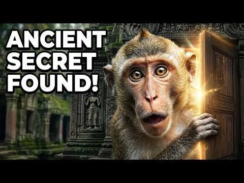 POV I’m a Monkey in Angkor Wat… I Opened a Forbidden Door