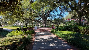 1.1K views · 15 reactions | Florida Southern College on Reels | Facebook