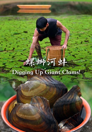 Giant Clams in Spring Pond: A Culinary Surprise!