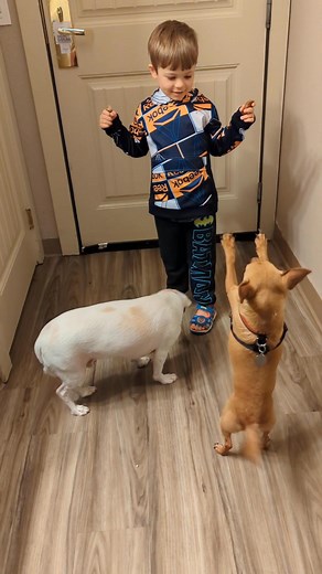 Nov 11 2025 Damon loves his pets...thinks he can train them😍 | Emily Jensen