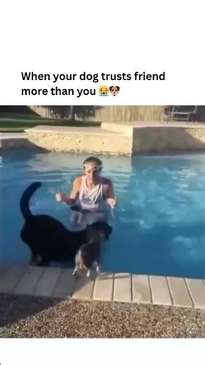 When your dog trusts friend more than you 😭🐶