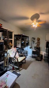 Lots of bird things in the printer tour tonight! | Birds and Beaks Rescue and Rehab