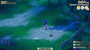 Story of Seasons: Grand Bazaar Bugs/Critters Guide - Full List