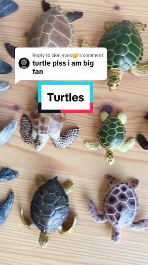 Realistic Turtle Toy Figurines - Which is Your Favorite?