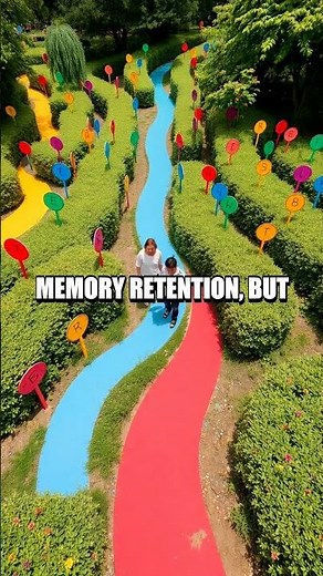 Memory Maze: Enhancing Focus Through Creative Challenges