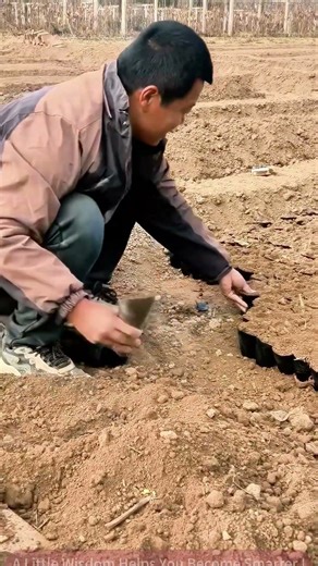 Green Farming Starts with Digging Holes! Beginners Can Do It Easily