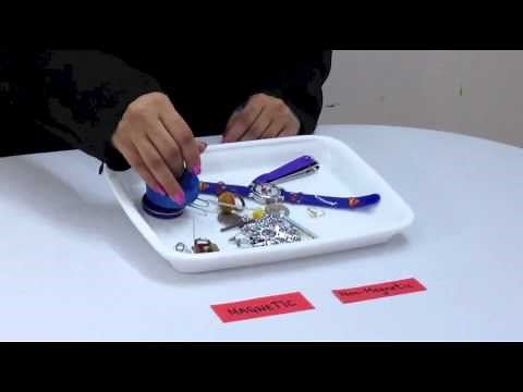 Sorting with Magnets - Grade 1 2 3 Science Experiments: Magnetic Materials