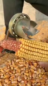 27K views · 294 reactions | Small scale maize shelling DIY machine. #agribusinesstalk | Agribusiness Media | Facebook