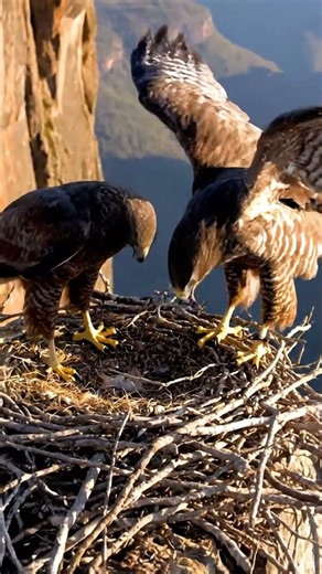 The Master of Disguise #shortvideos