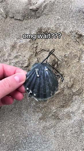 Unique Crazy Seashell Pierced Necklace Inspiration