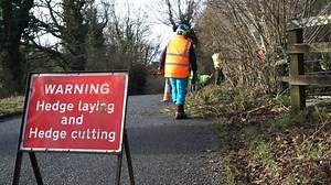2.7K views · 34 reactions | Have you heard about hedge laying? ...