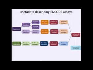 Overview of the ENCODE Data Portal - Eurie Hong