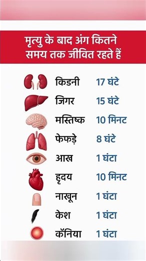 मृत्यु के बाद अंग कितने समय तक जीवित रहते हैं? Human body. #shorts #gk #body