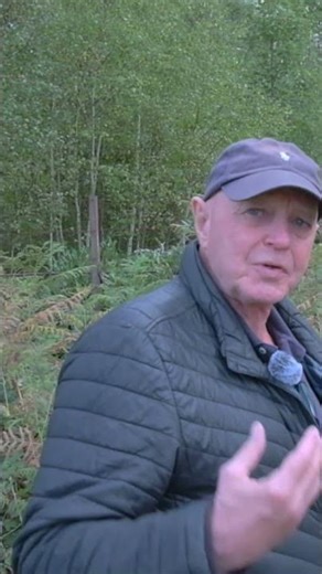 Personality Divides. Character Unites