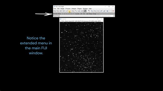 ImageJ轻松进行图像处理、可视化和图形生成