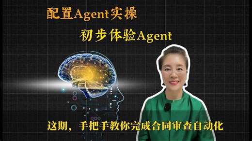 Agent实操，初步体验Agent。这期，手把手教你完成合同审查自动化！