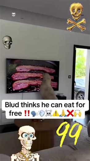 The Viral Don Pollo Meme Explained