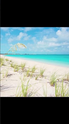 [Free] Drake Controlla Afro Type Beat - "Dog Days"