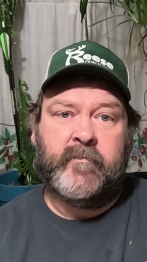 How I locate cellar holes to metal detect. #metaldetecting #metaldetector