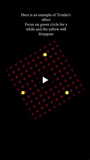 #neuroscience #psychology #focus #leadership #troxlereffect #cognitivebias | Mukul Kumar