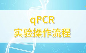 qPCR实验操作流程来啦，小金带你轻松拿捏荧光定量！