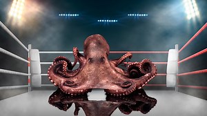 Scientists Figure Out Why Octopus Punch Fish And It's Even Cooler Than We Imagined
