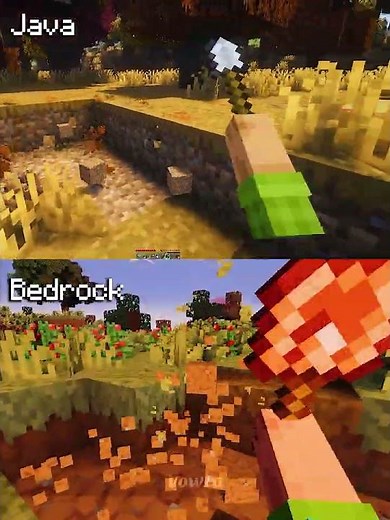 Minecraft Actions and Stuff Java vs Bedrock Part 84