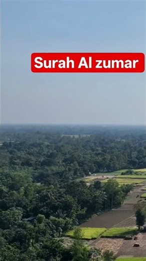 Surah Al zumar Urdu translation #islamicscripture #quranictranslation #islamicvideo #shorts #fatiha