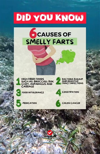 6.5K views · 11 reactions | DID YOU KNOW: 6 CAUSES OF SMELLY FARTS | Checklist Studio | Facebook