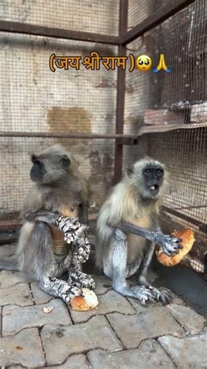 Sad background emosanal music || No copyright sad music || #Sad #viral #Sadflute #bgm #instrumental