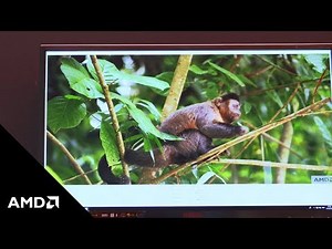 Software Defined Architecture for Endoscopy Powered by AMD