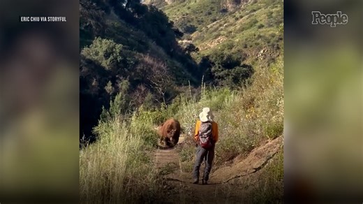 Bear Charges Toward California Hiker Who Is Just a Few Feet Away in Dramatic Footage