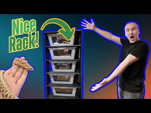 DIY Snake Rack Build - Step-by-Step for Reptile Keepers!