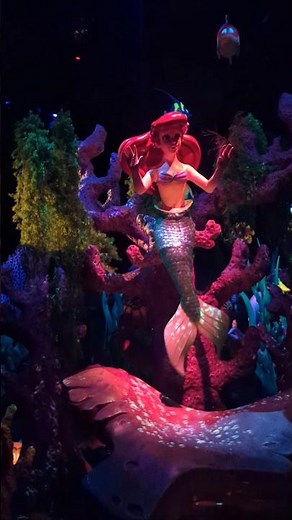 under the sea!! #disney #disneyparktour #disneyland #belle #mermaidlove #magickingdom #disneyworld