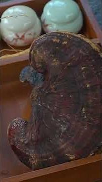 Why Hui Ink Is Called the King of Ink? 🖋️ The Secret of Chinese Calligraphy